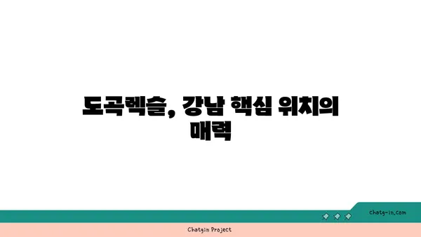 도곡렉슬 대형 아파트 경매, 강남 역세권 최적의 선택