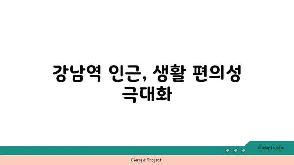 강남역 고시원: 편안하고 저렴한 도리스테이에서 새로운 시작