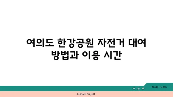 여의도 한강공원 자전거, 놀이터, 가격: 가족과의 즐거운 하루를 위한 가이드