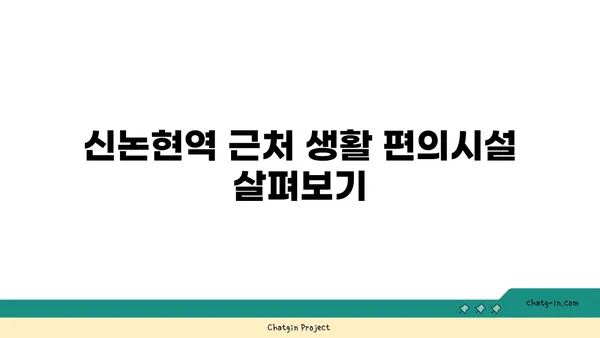 도곡동 역세권: 신논현역 맞은편 코오롱 아파트 매물
