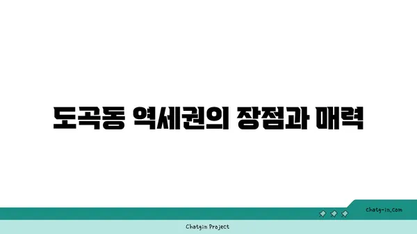 도곡동 역세권: 신논현역 맞은편 코오롱 아파트 매물
