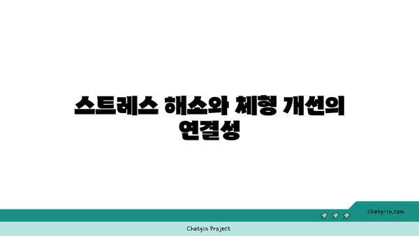 20대 여성을 위한 체형 개선 요가 루틴