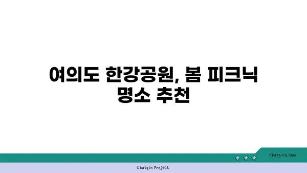 여의도 한강공원에서 돗자리와 자전거를 대여하고 피크닉을 즐기세요.