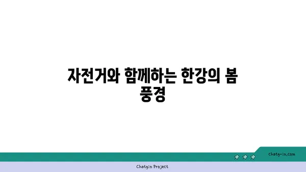 여의도 한강공원에서 자전거 타기: 봄철에는 벚꽃가득