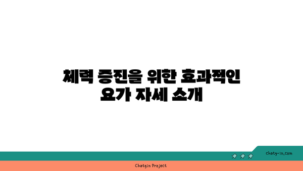 20대 체력 증진을 위한 파워 요가 루틴