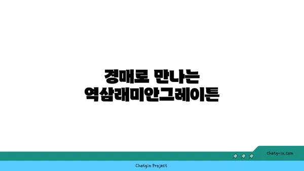 역삼역 역세권 역삼래미안그레이튼, 매력적인 아파트 경매