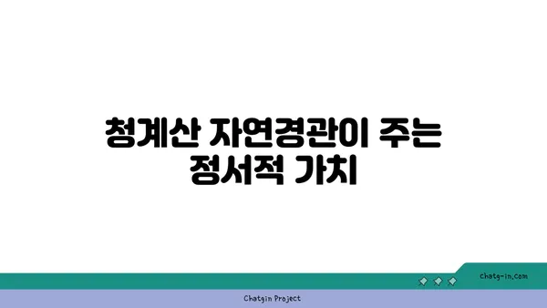 청계산입구역 가까운 강남역세권 아파트: 매력과 가치 평가