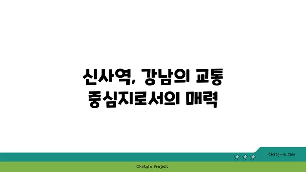 역세권 생활의 본질: 신사역 인근 강남 아파트