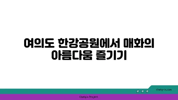 여의도 한강공원 매화 개화 소식: 가족 자전거 타기와 어린이 놀이터 정보