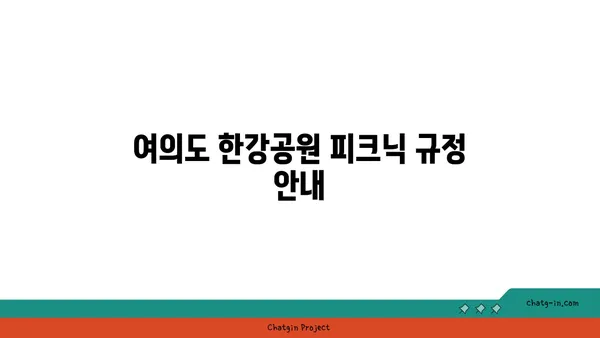 여의도 한강공원에서 피크닉을 위한 준비물과 규정