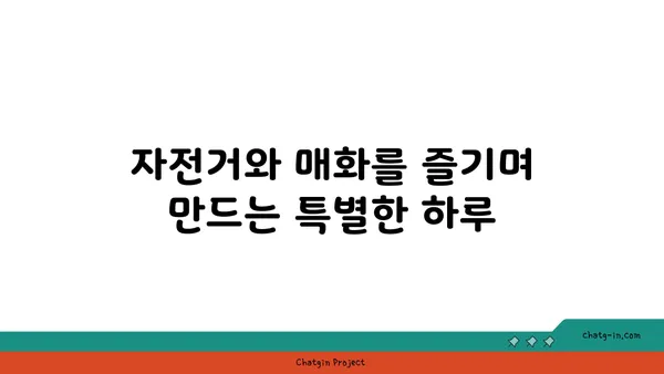 여의도 한강공원 매화 개화 소식: 가족 자전거 타기와 어린이 놀이터 정보