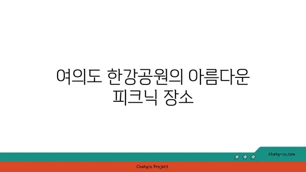 여의도 한강공원: 돗자리와 자전거 대여로 피크닉 즐기기