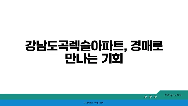 강남도곡렉슬아파트 경매 20억대 역세권 대형 평수