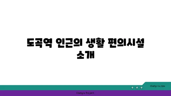 도곡역 렉슬 아파트: 대형 평수의 강남 역세권 아파트에서 편안하게 거주