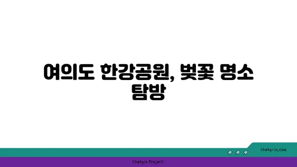 여의도 한강공원에서 자전거 타기: 봄철에는 벚꽃가득