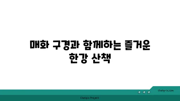 여의도 한강공원 매화 개화 소식: 가족 자전거 타기와 어린이 놀이터 정보