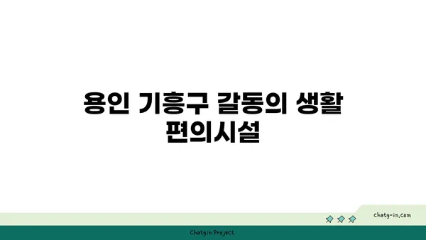 강남 30분 거리, 더블역세권 준신축 아파트, 용인 시 기흥 구 갈동