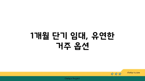 강남 역세권 풀옵션 쓰리룸 아파트, 1개월 단기 임대