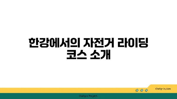 여의도 한강공원에서 자전거 돗자리 대여 즐기기