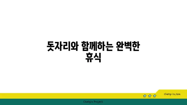 여의도 한강공원: 돗자리와 자전거 대여로 피크닉 즐기기