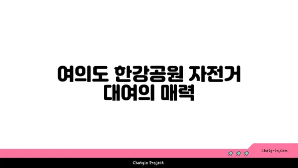 여의도 한강공원에서 자전거 돗자리 대여 즐기기