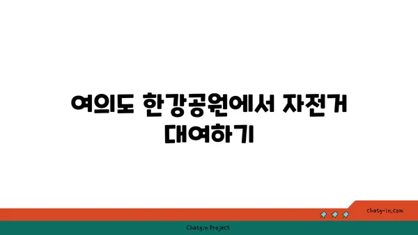 여의도 한강공원 자전거 대여: 아이들과 함께 물놀이와 놀이 즐기기