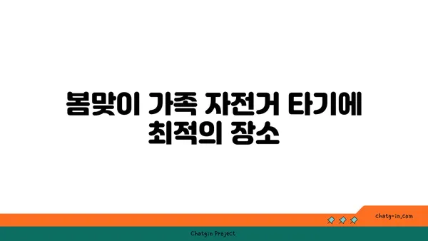 여의도 한강공원 매화 개화 소식: 가족 자전거 타기와 어린이 놀이터 정보