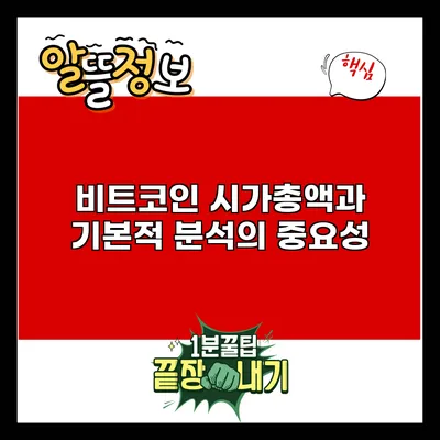비트코인 시가총액과 기본적 분석의 중요성